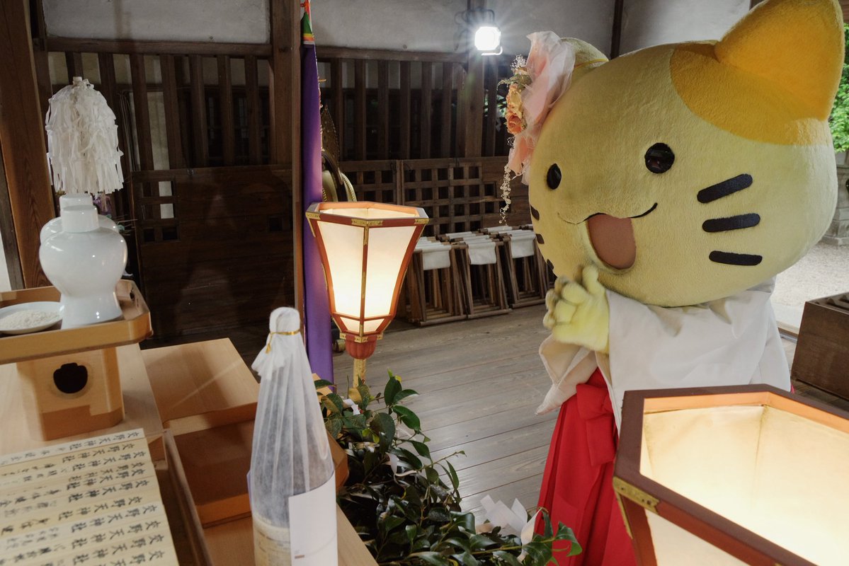 みっけちゃん™️【公式】💙💛🤟🏳️‍🌈大阪府枚方市PR大使 tweet media