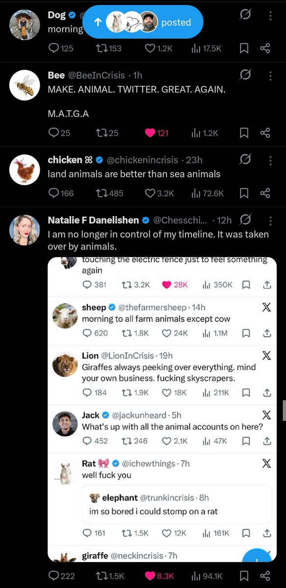 BELUGA tweet media