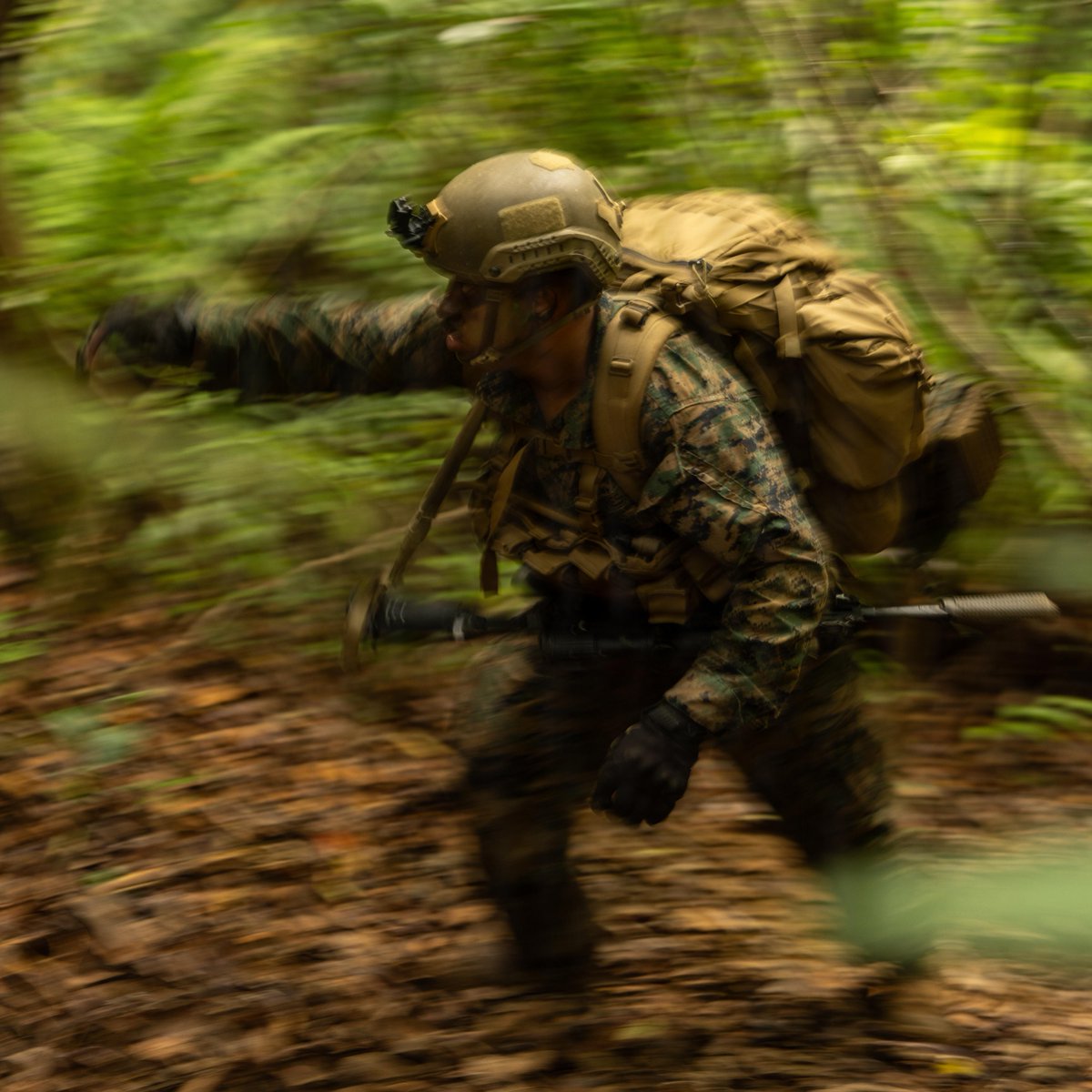 III MEF Marines tweet media