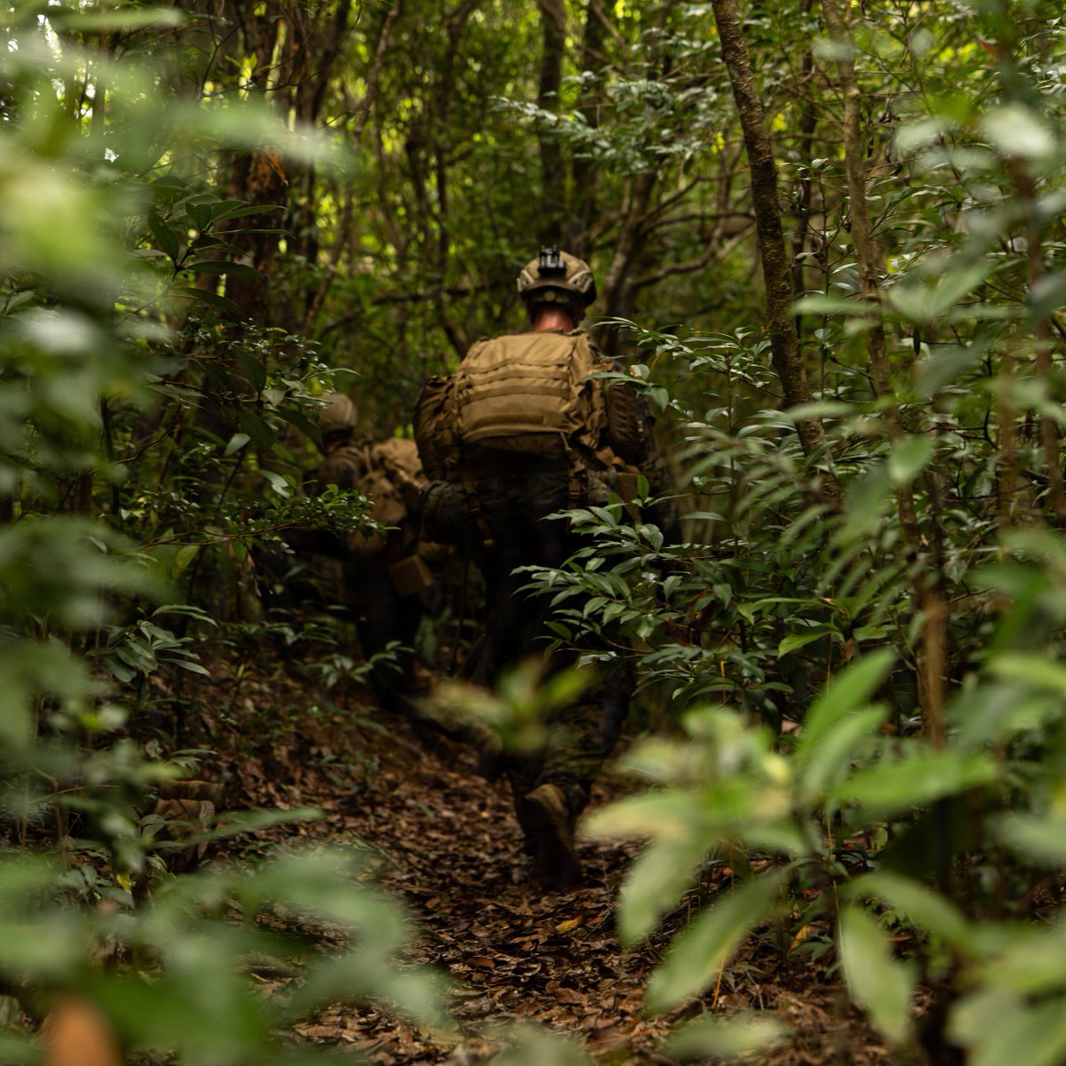III MEF Marines tweet media