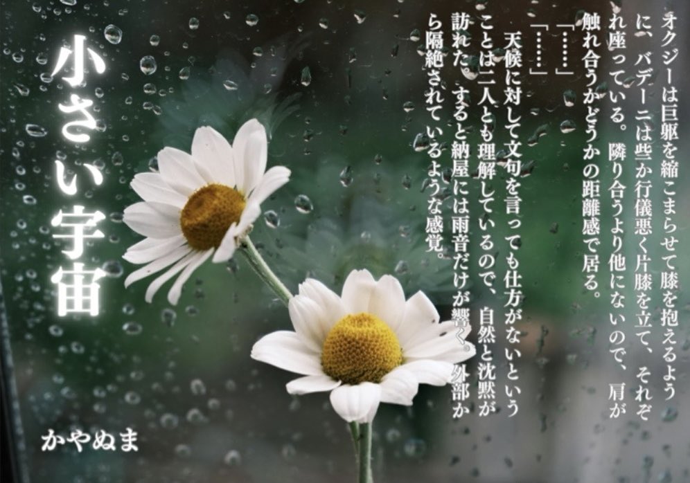 かやぬま🌍6月追憶星願 tweet media