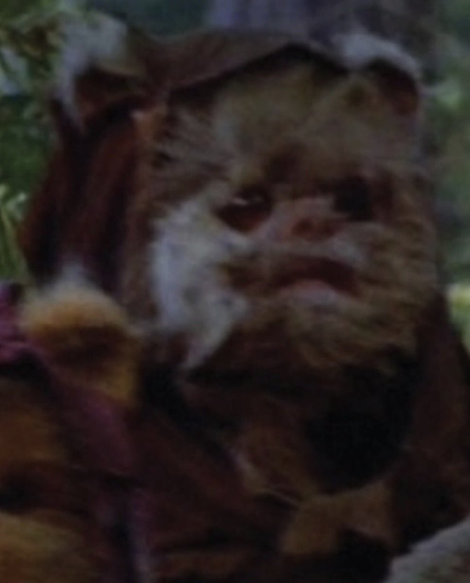 WorldsNotOurs's tweet photo. Star Wars
Episode VI: Return of the Jedi
Scene 24. An Ewok Trap
1:10:34
Chubbray
Species: Ewok
Affliation: Bright Tree Village/Alliance to Restore the Republic/Hunting Party
Location: OuterRimTerritories, Inner Zuma, Outer Moddell, Endor system, Endor, forrest, ewok trap(outside) https://t.co/mfRRI018Pi