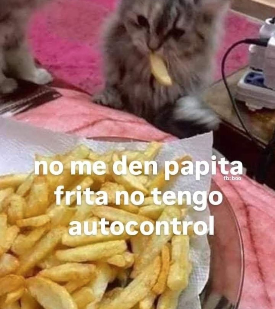 piña sin pizza tweet media