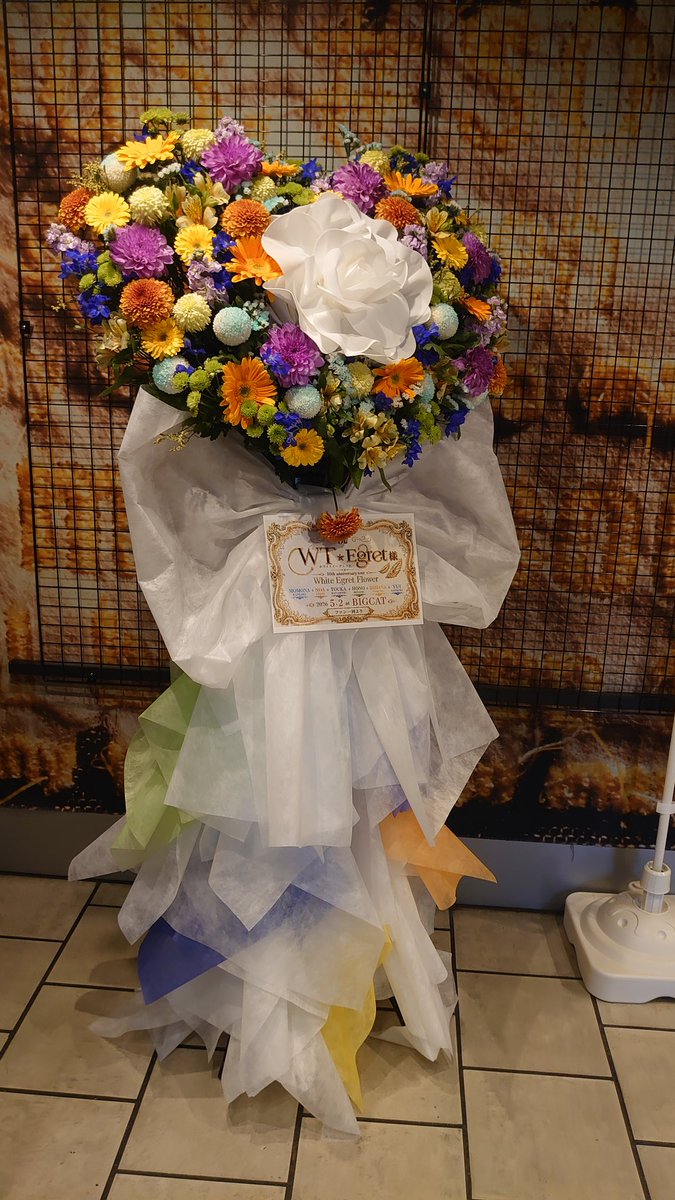 WT☆Egret 10th anniversary tour
White Egret Flower Tour FINAL。

6人の為の6人で奏でていく新曲、普段あまりみえない楽曲の硬質的な要素を表現したカッコ良さ。アカペラもバンド編成も歌のグループだからこそ。
WTEの「今」を切り取ると、いつでも最高に輝き煌めいている。

#WT_Egret #WT_BIGCAT