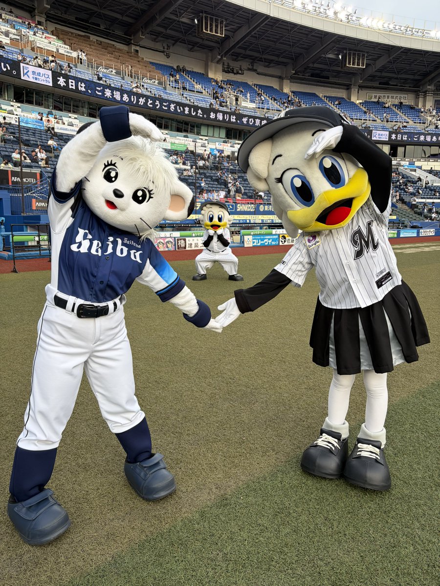 マーくん(千葉ロッテマリーンズ) tweet media