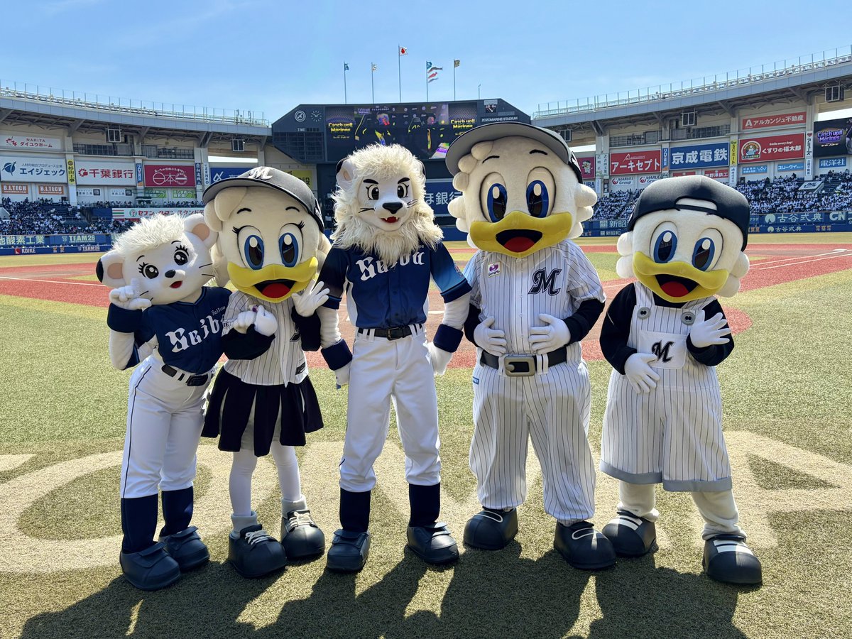 マーくん(千葉ロッテマリーンズ) tweet media