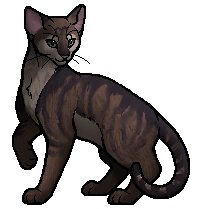 daily warrior cats pairs! tweet media