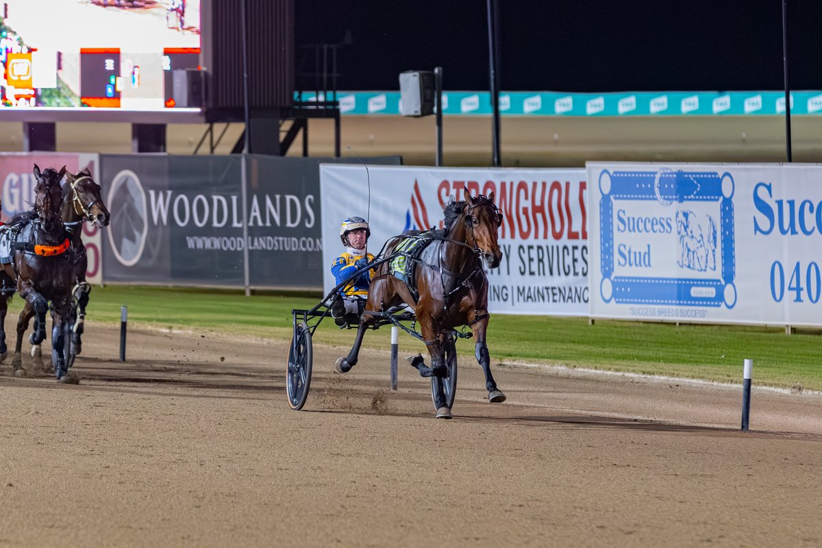 Club Menangle tweet media