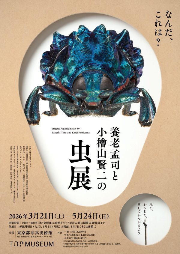 山ノ仙人虫 ニセ蟲図鑑 / くぼやまさとる | ホホホ座浄土寺店