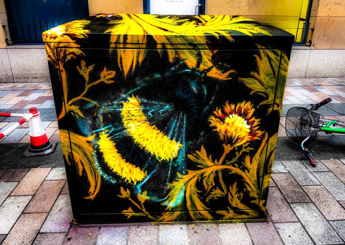 sheenz_m_'s tweet image. #AlphabetChallenge #WeekQforQueens 
If this bee isn’t a queen it definitely knows one 😂
#StreetArt