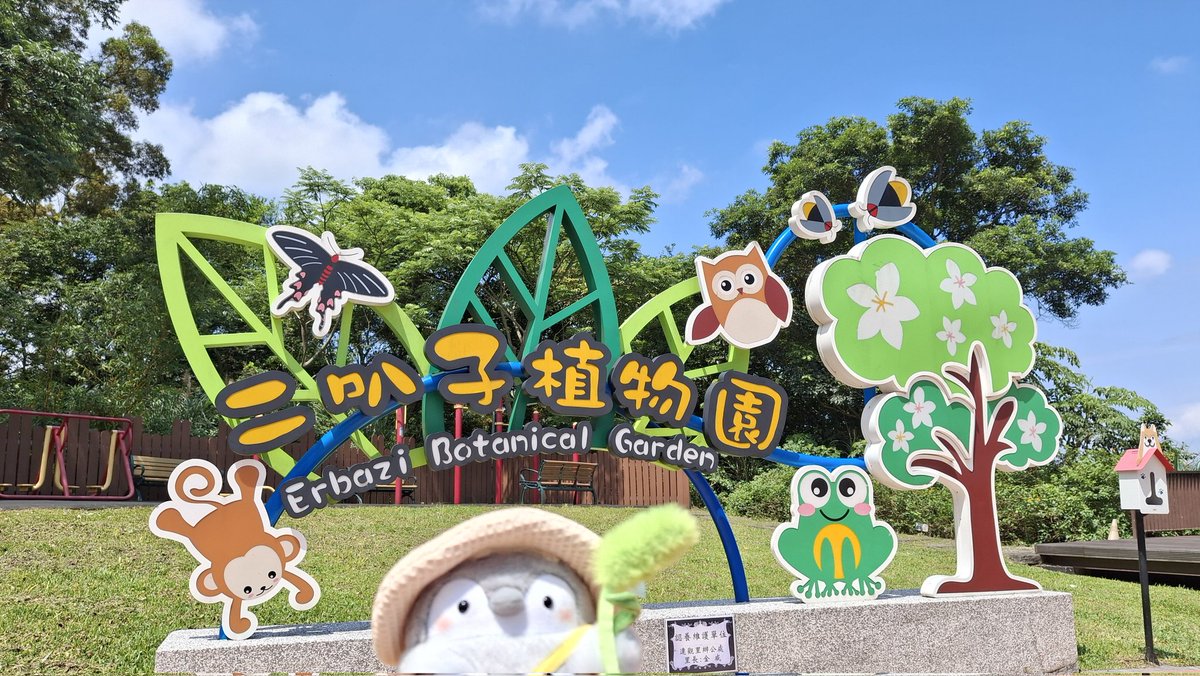 人気ナンバーワン！約1メートルくらいです。南国気分バナナの木^ - ^ほったらかしておいても毎年なります^_^ステキな出会いがあります様に^ - ^一期一会 今日は新店にある二叭子植物園にハイキングしました 森の香りに浴びて