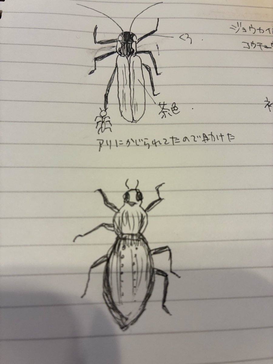 ちゃーちゃん tweet media