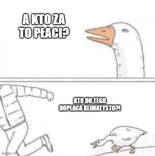 Adam Wojtasiewicz ✝️⚔️🇵🇱 tweet media