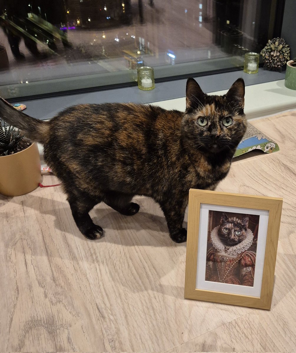 Karen_acts's tweet photo. Sleep tight my beautiful Perdita. The sweetest and gentlest of souls. My heart is broken today.💔 I hope Merlin cat and Moo are there to guide you on your next adventure. ❤️🌈 https://t.co/TgJiEtmTTh