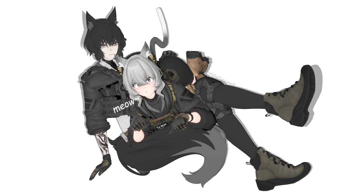 Alpha Wolf tweet media