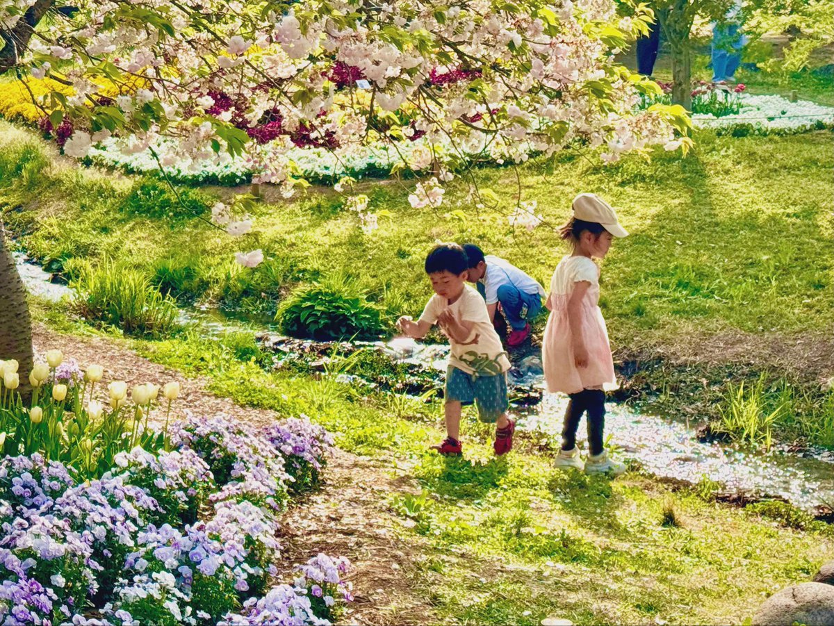 chogoxxx's tweet photo. 国営アルプスあづみの公園⑩
あったかい幸せな風景と
わくわくした気持ちは
いつでも公園にあると思うんだ

#写真好きと繋がりたい
#キリトリセカイ
#ファインダー越しの私の世界 https://t.co/72v36OEU3K