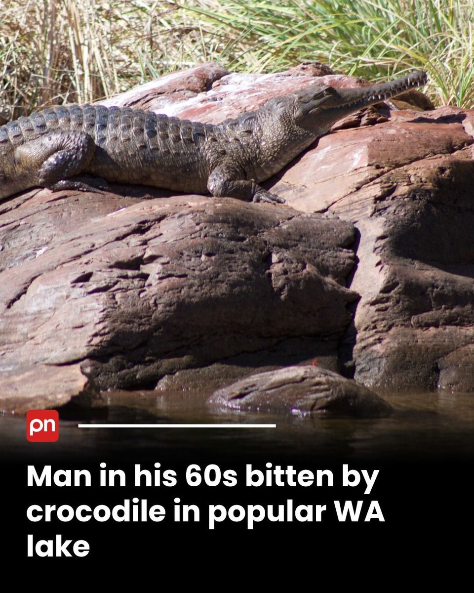 PerthNow tweet media