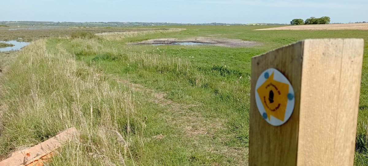 npellinacci's tweet image. Bit more #England #Coastpath #walking this week: