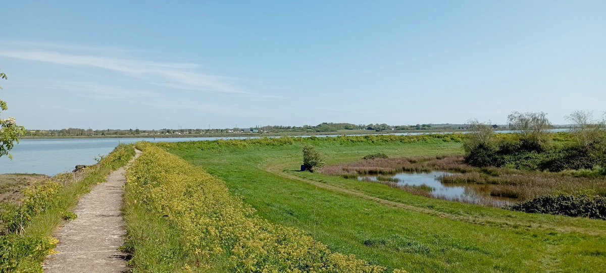 npellinacci's tweet image. Bit more #England #Coastpath #walking this week: