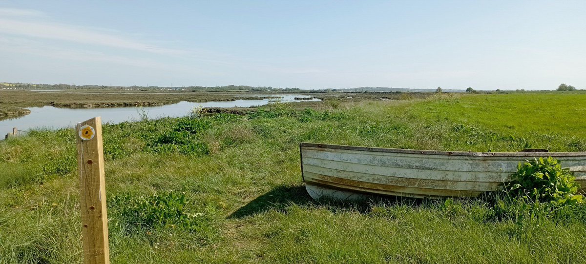 npellinacci's tweet image. Bit more #England #Coastpath #walking this week: