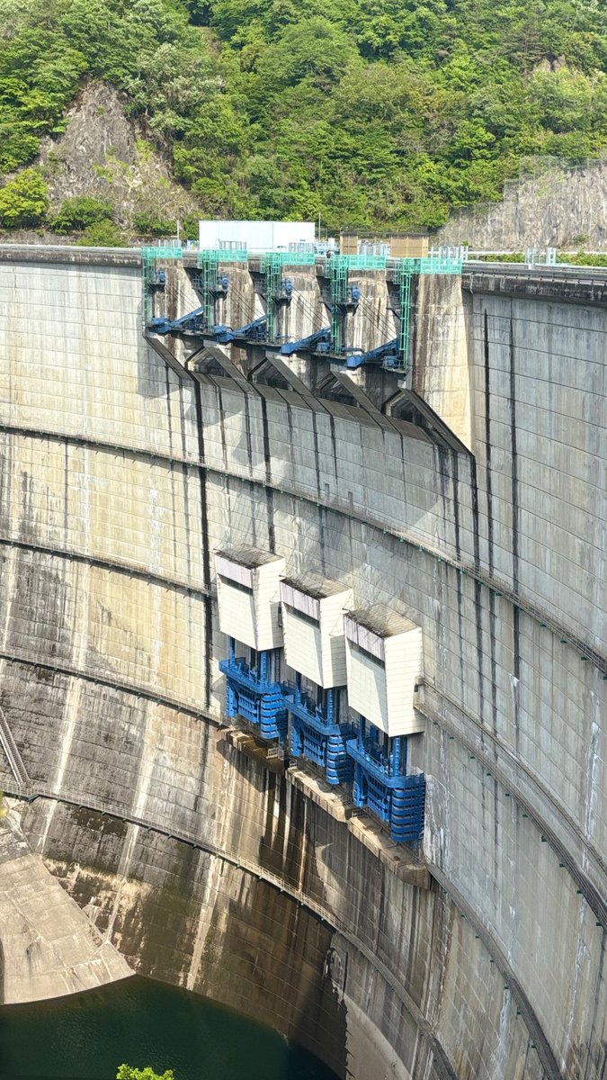 1111_0702's tweet photo. 遊び呆けていた🦫 https://t.co/B3K1mu8Trg