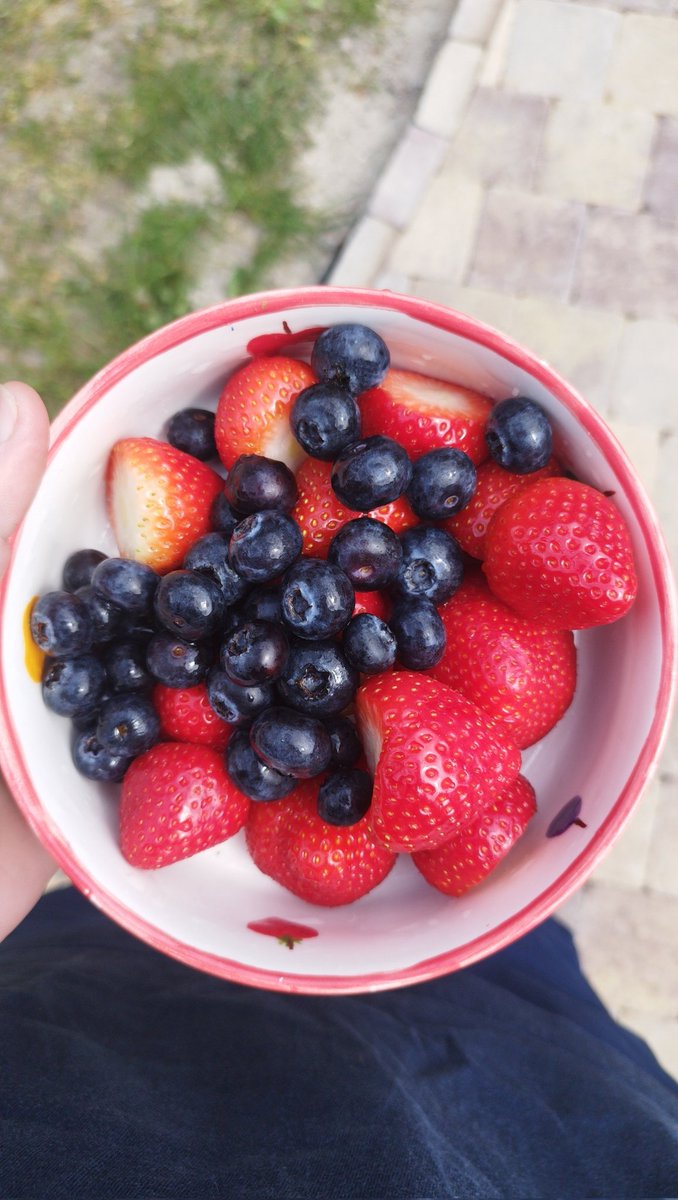 beauttermouse's tweet photo. Eating fresh fruit in my hungry caterpillar bowl https://t.co/gBFrSXlaOf