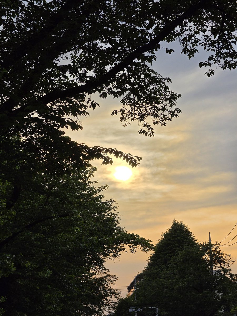 joe_camera_jp's tweet photo. 夕日がモヤモヤ🌇
.
🗓 2026.5.2
🗾 #東京 #多摩地域
📷 #GalaxyS26Ultra
#写真好きな人と繋がりたい
#ファインダー越しの私の世界
#WithGalaxy #photography https://t.co/CUu3D9M2Be