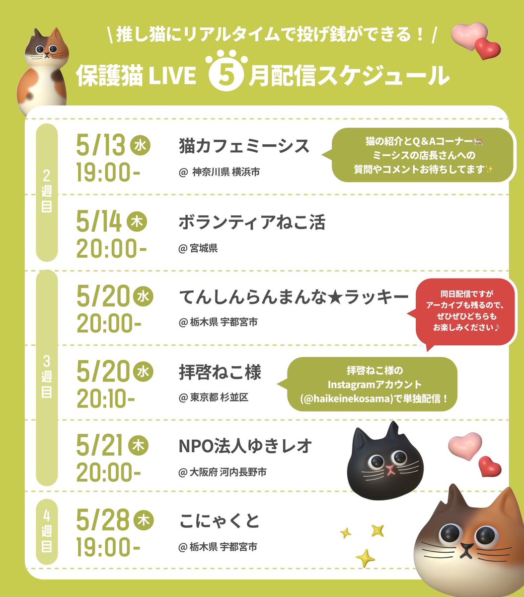ネコノート【公式】保護猫支援サービス🐈 tweet media