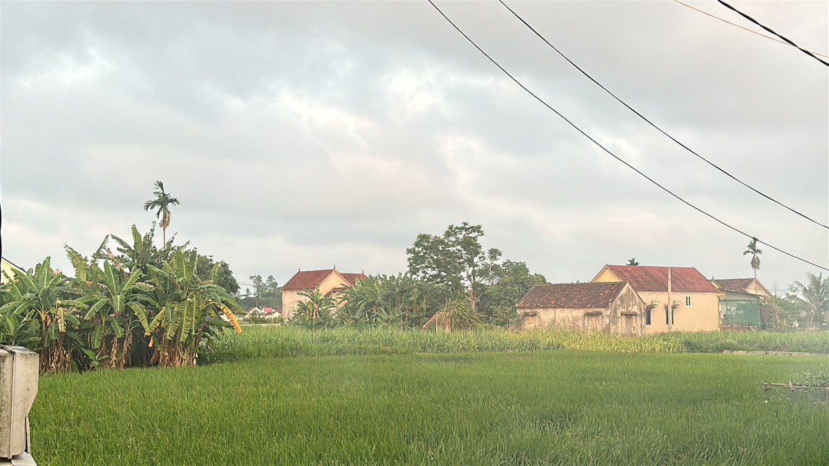 Gấu Đỏ /lang thang X tweet media