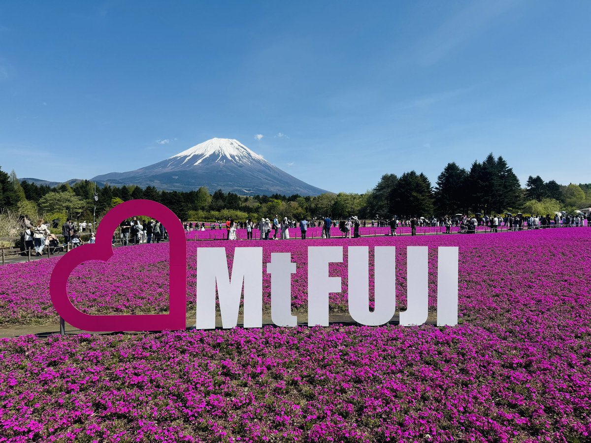 めぐこ☆*｡ tweet media
