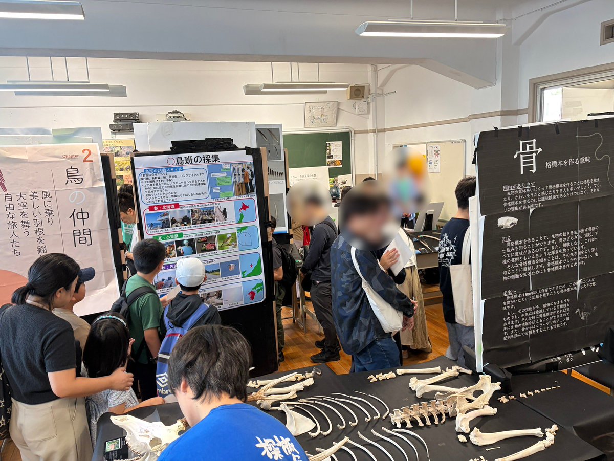 麻布学園生物部 tweet media