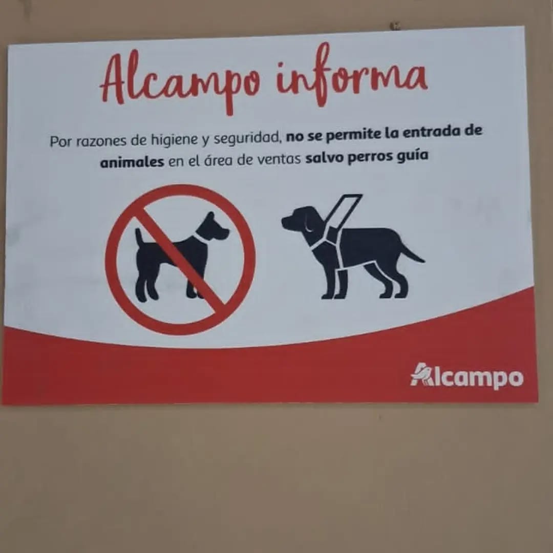 Luca Perro de Asistencia tweet media