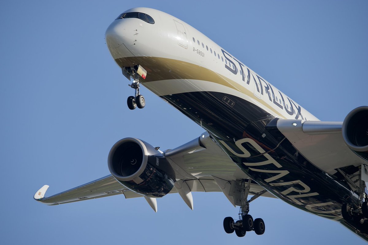 wwhsiang's tweet image. A350が綺麗🤩

#airbus #a350 #starlux