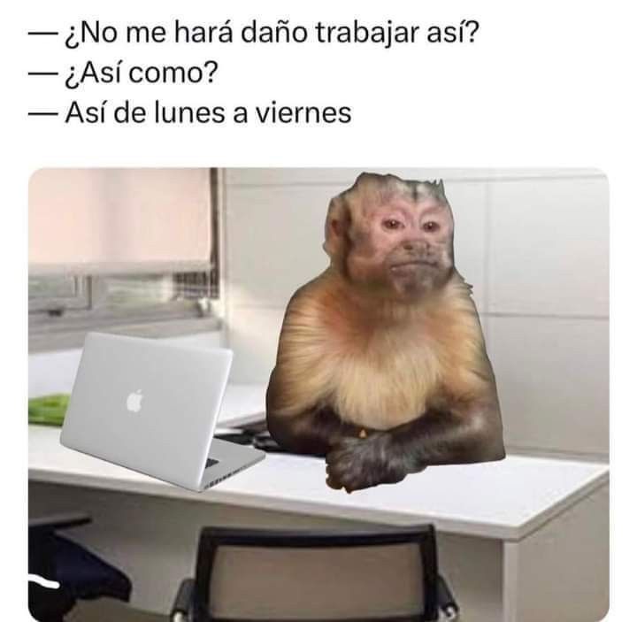 Carla tweet media
