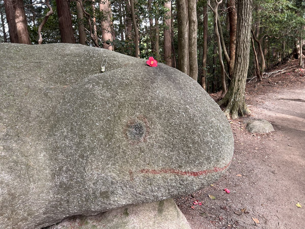 F1cgCe's tweet photo. 今日は一年半ぶりの猿投山。GWだからか、たくさんの人が登っていました。 https://t.co/eB4BDcykvS