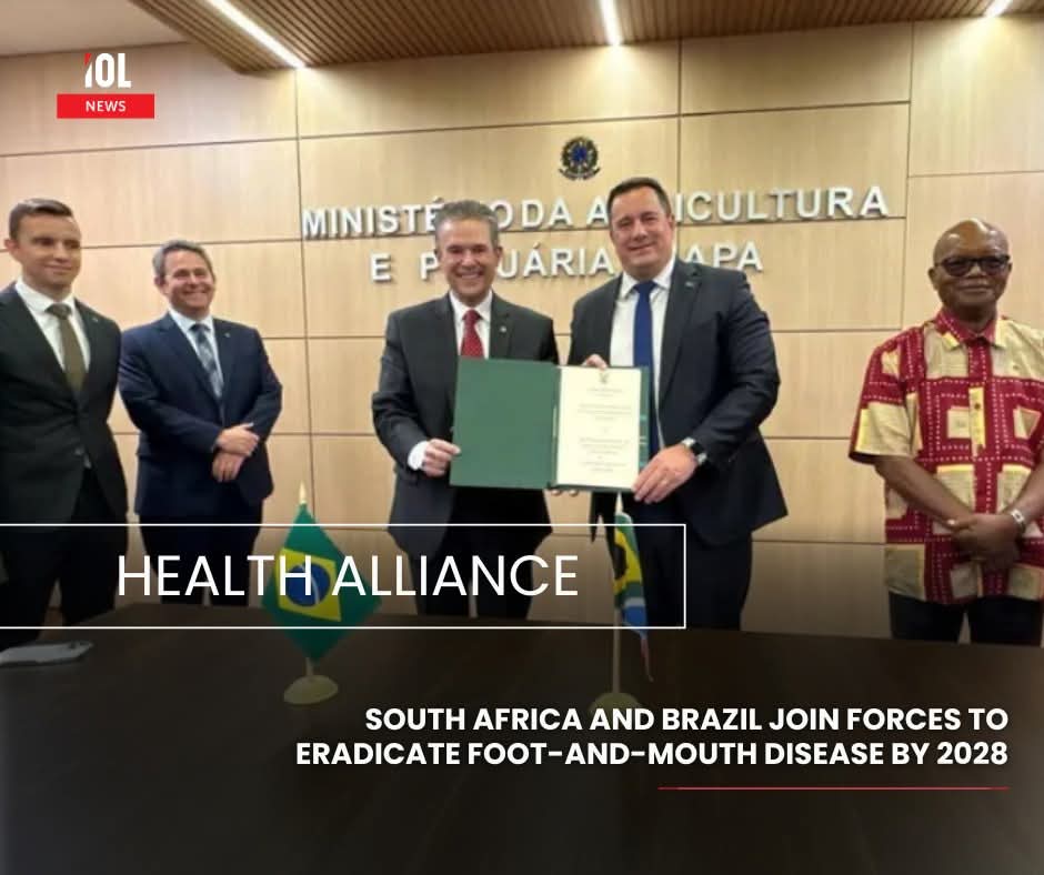 IOL's tweet image. Minister of Agriculture John Steenhuisen has secured a strategic alliance with Brazil, signing a Memorandum of Intent (MOI) and a comprehensive Action Plan designed to fast-track Foot-and-Mouth Disease (FMD) eradication.
#news #JohnSteenhuisen #alliance #Brazil #eradicate #MOI