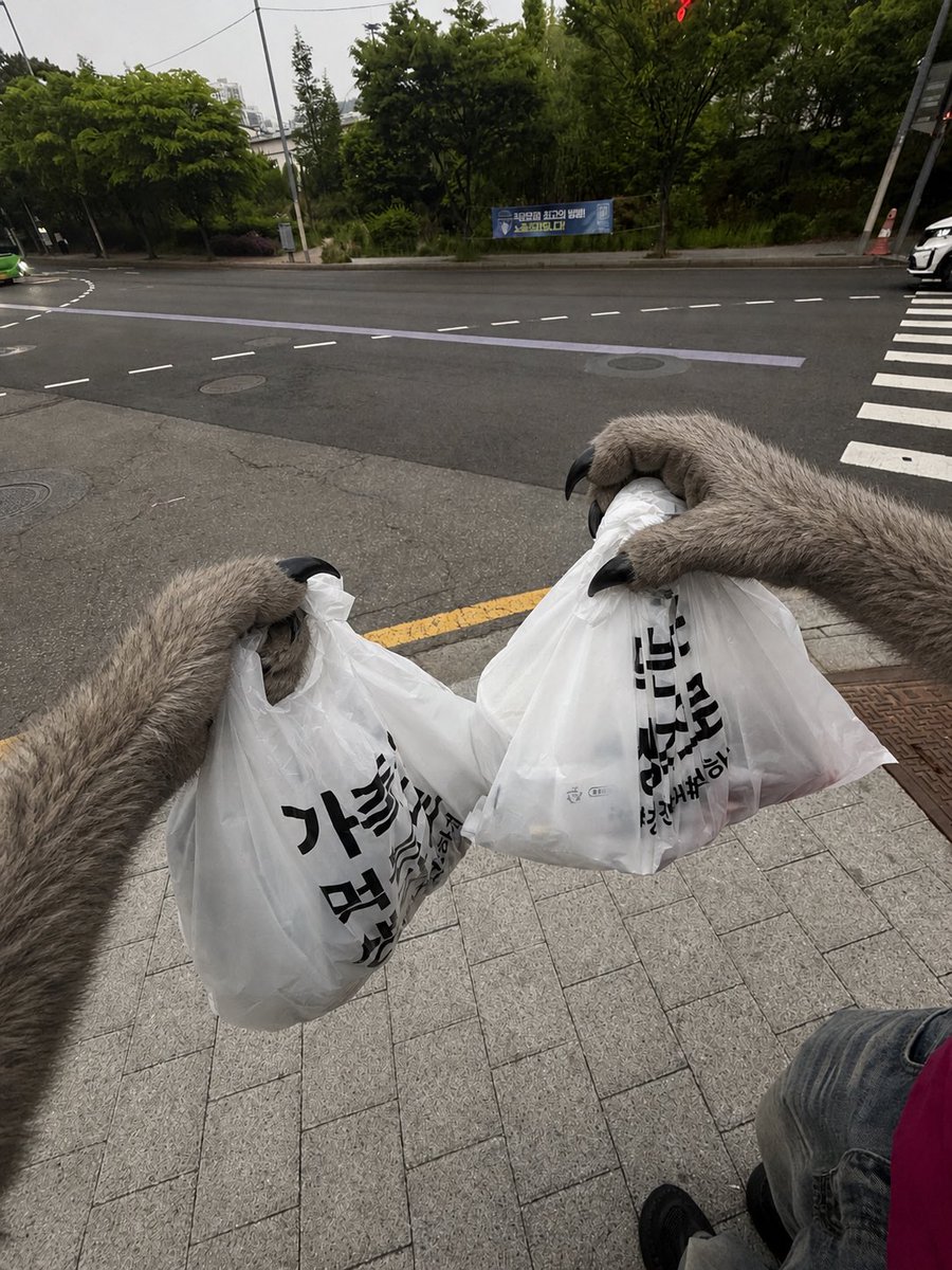 뚜애 tweet media