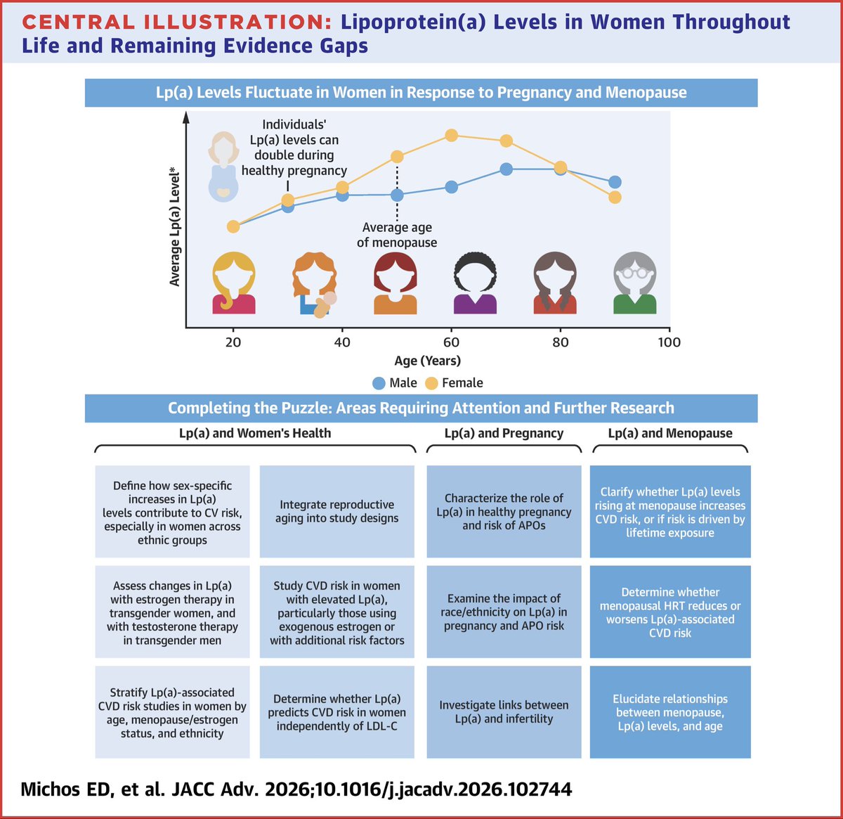 drbennisahmed's tweet photo. Did you know Lp(a) levels can DOUBLE during a healthy pregnancy — and rise again at menopause? 📈
New research highlights how lipoprotein(a) fluctuates throughout a woman’s life, and why that matters for cardiovascular risk.
We still have major gaps to fill:
• Does rising Lp(a) at menopause drive CVD risk — or is it lifetime exposure?
• Does HRT help or hurt?
• How does race/ethnicity shape Lp(a) in pregnancy?
Women’s hearts deserve sex-specific science. 🫀
Michos ED, et al. JACC Adv. 2026 👇
https://t.co/AxHvYq4Vfp

#Lpa #Lipoprotein #CardiovascularResearch #JACC #Lipidology #CVDRisk #PreventiveCardiology
