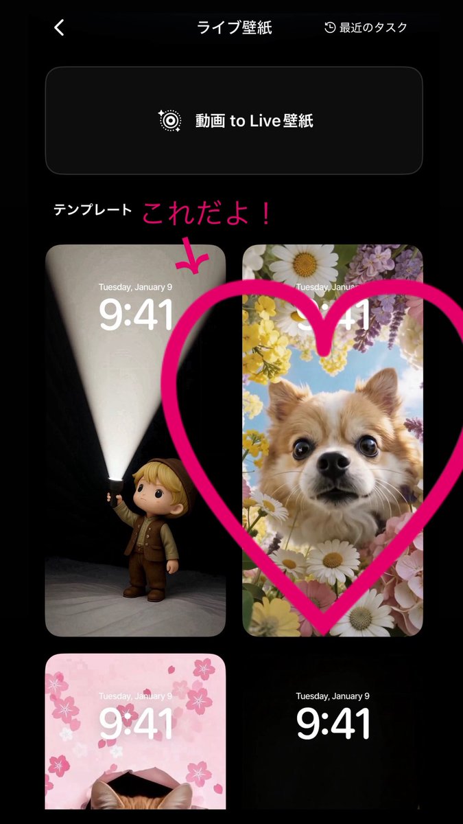 ポメラニアンのえま🐶🍼‎🤍 (@emmapom918) / Posts / X