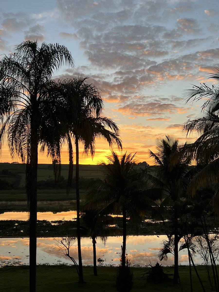 ReNaTeRa21M's tweet photo. Novo dia, já agradeceu por estar vivo e poder fazer tudo que se propõe a fazer? Eu agradeço a Deus por tudo, pela minha família , pelos caminhos que a vida me ensina novos conhecimentos. Gratidão Deus por ter conhecimento para tentar minerar um bloco @Parasite_wtf https://t.co/fQvXL94dJM