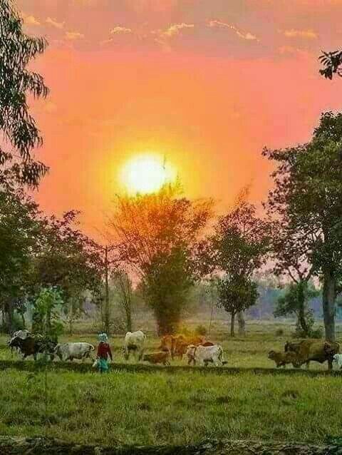 ☆~ ASHTHA ~☆ tweet media