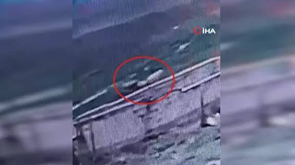 Mucadele22's tweet photo. Köpek saldırıları ile ilgili haberlere sadece ulusal medya değil sosyal medya da sansür uyguluyor. Twitter (x)'te yayımlanan gönderiler çok kısıtlı şekilde etkileşim alıyor. Gizli bir sansür var gibi. Gönderilerin görüntülenme sayıları fav ve RT sayılarından daha az... https://t.co/mfYapphdqv
