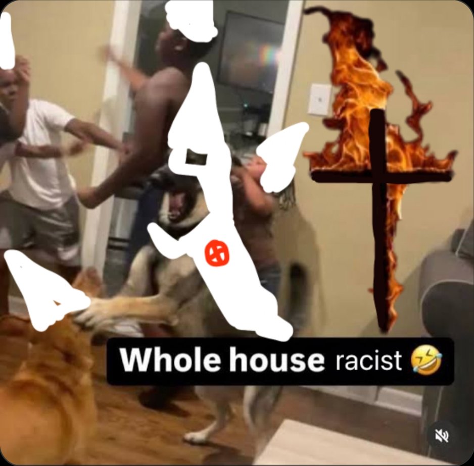 ThetrollOTB3 tweet media