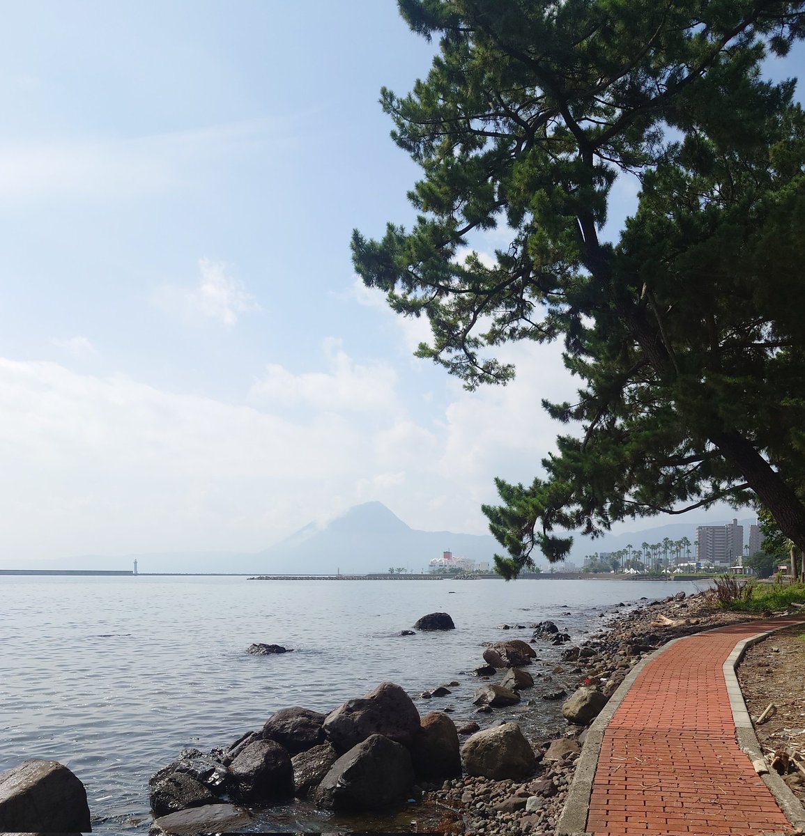 54ch1's tweet photo. 夏の思い出

あのとき聴いてた音楽だけで
去年の夏の景色と
幸せな気分を思い出す。

お墓参りとはいえ
じーちゃんばーちゃんに会って、

穏やかな海を眺めながら
F1 THE ALBUMを聴いて癒されたい。 https://t.co/VyOyNLPnw3