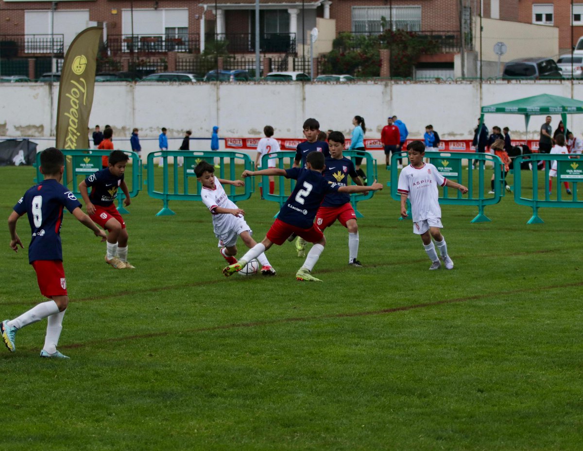 CultuAcademia's tweet photo. #CyDLBA #CopaCyL
🏟️ Eras de las Candelas (Dueñas)
Resultados Fase de grupos
@UDSantaMarta 2 - Benjamín A 1
Benjamín A 6 - @CDInterVA 2
Benjamín A 2 - @LINKOavila 1 https://t.co/uXIsUnm1Eu