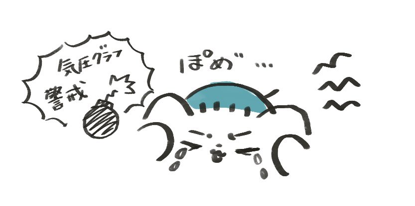フリル工房　ᴘ ᴏ ᴍ ᴇ tweet media