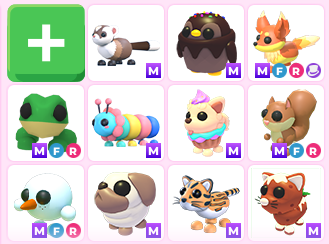 ynabnst's tweet image. Selling adopt me pets for gcash/paypal fnf !!       

DM for price list / PAYO ONLY (NGF)
paubos before restock    
#vrysellz 

#adoptme #adoptmepets #roblox