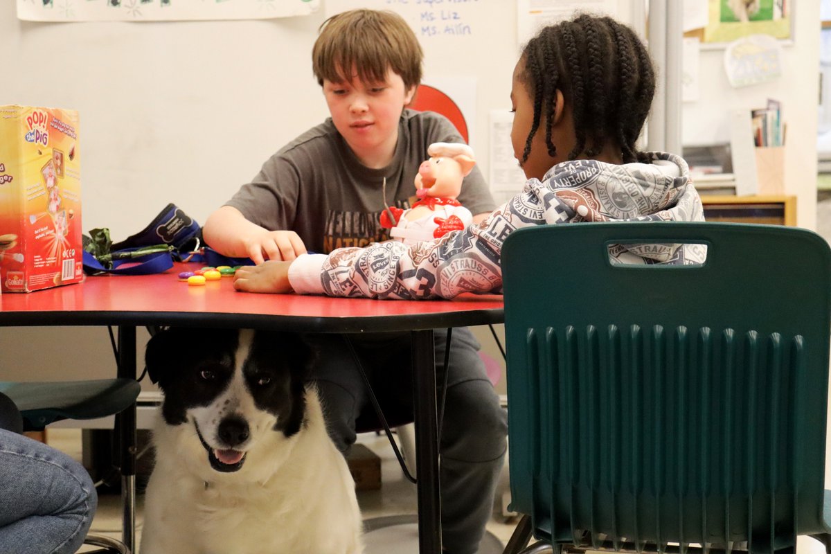 GreenChimneys's tweet photo. Once a week, Porter the campus dog makes a special visit to the Occupational Therapy room. His quiet presence can spark engagement and encourage participation. It also helps students practice emotional regulation in real time. When students stay focused and regulated, Porter is more likely to spend time with them.

While Porter and the other visiting dogs add a meaningful layer of motivation, they’re just one part of the process. The heart of the work happens through skilled Green Chimneys Occupational Therapy staff who help students build the tools they need to succeed.