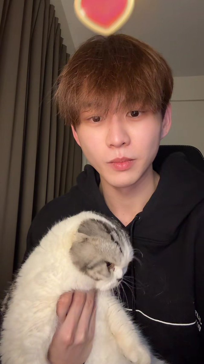 ❥ นอ_กอ ˙𓈞˙☔️🌷 tweet media