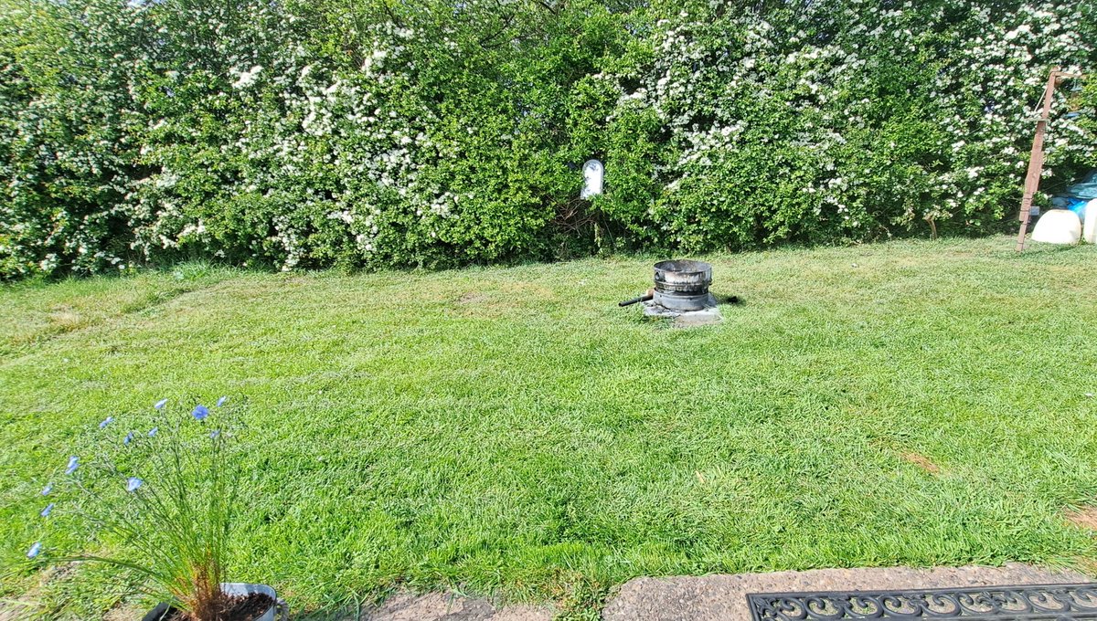 Anne-Marie Denniss tweet media